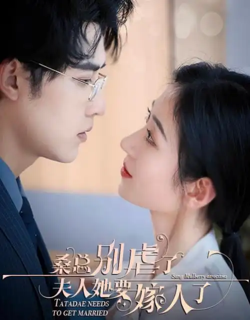 热播电视剧全集长夜将明高清在线观看